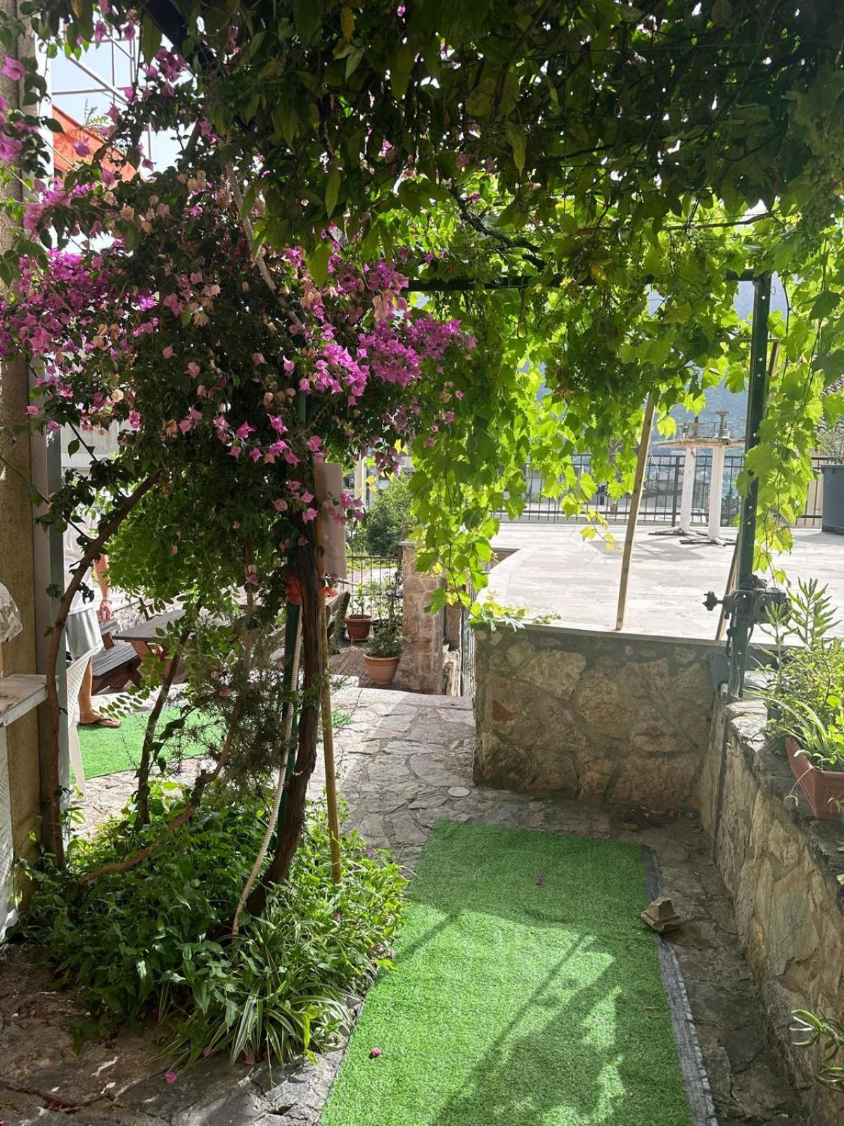 Themis Apart Hotel Kotor Eksteriør bilde