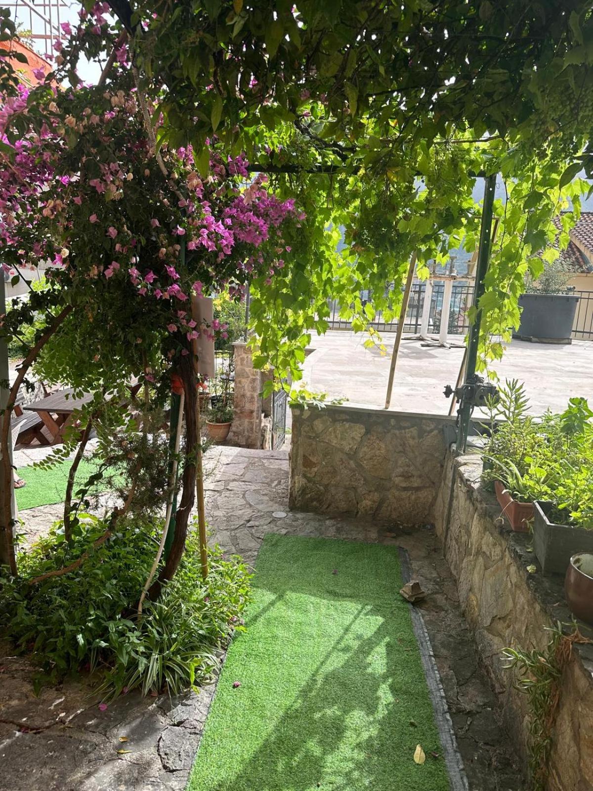 Themis Apart Hotel Kotor Eksteriør bilde