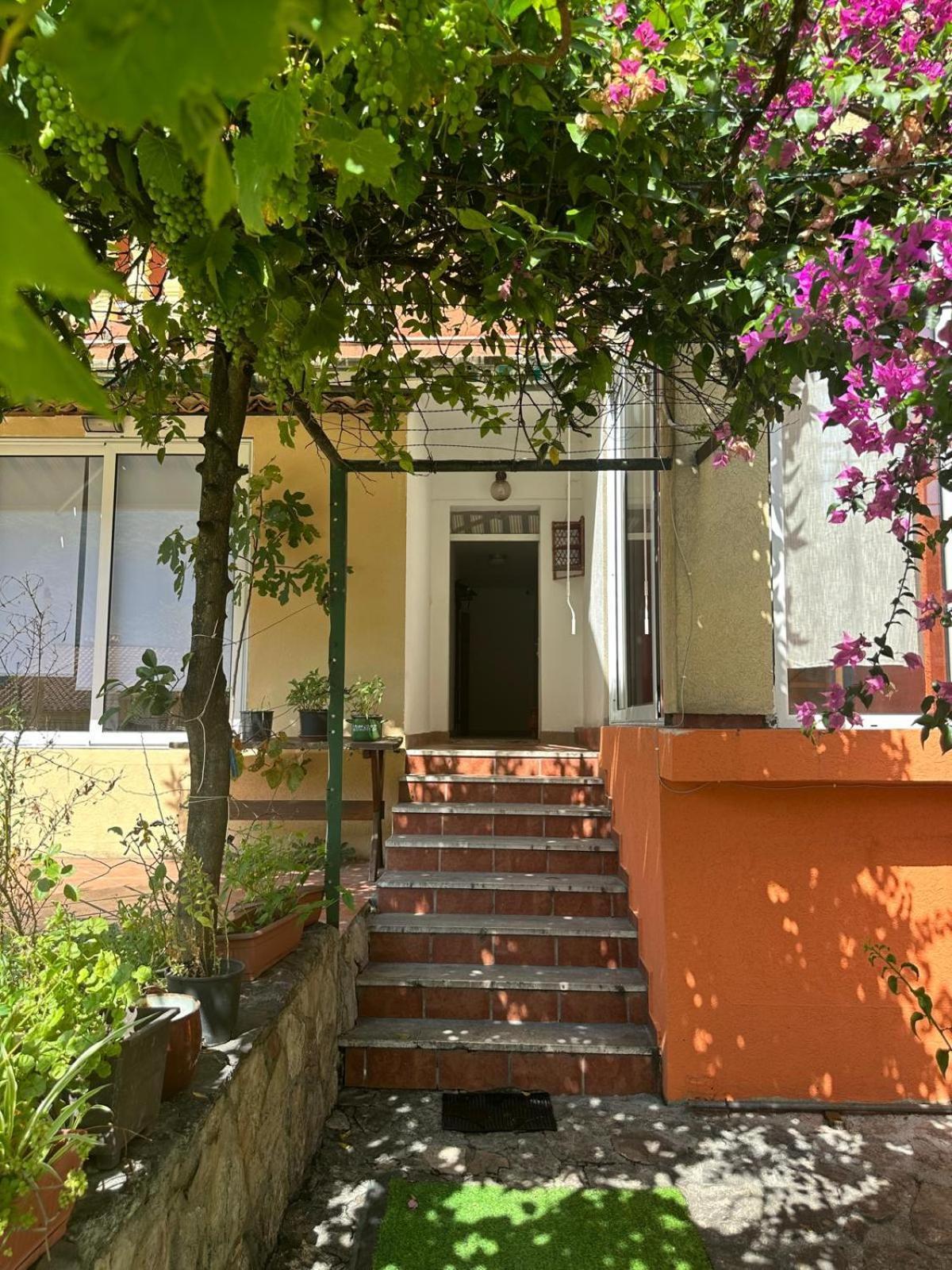 Themis Apart Hotel Kotor Eksteriør bilde